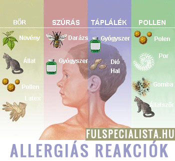 allergiás reakciók tünetek